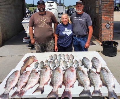 Blue Catfish, Hybrid Striped Bass Fishing in Runaway Bay, Texas