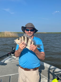 Sheepshead Fishing in Boothville-Venice, Louisiana