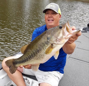 Largemouth Bass fishing in Lake Fork, Texas