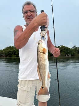 Fishing in Sarasota, Florida