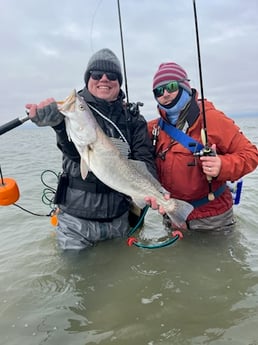 Speckled Trout / Spotted Seatrout Fishing in Bay City, Texas