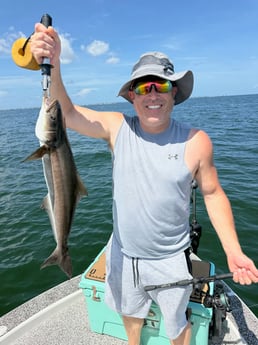 Fishing in Tampa, Florida