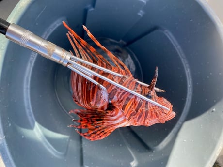 Fishing in Key West, Florida