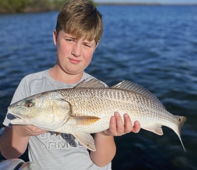 Redfish Fishing in Cape Coral, Florida