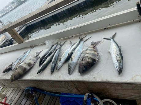 Fishing in Orange Beach, Alabama