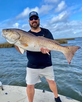 Black Drum fishing in Saint Bernard, Louisiana