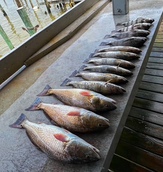 Fishing in Galveston, Texas