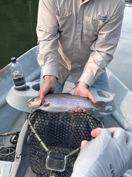 Rainbow Trout Fishing in Broken Bow, Oklahoma