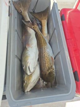 Fishing in Galveston, Texas