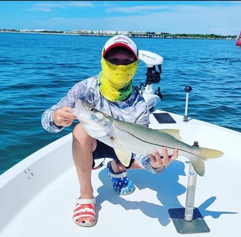 Snook fishing in Titusville, Florida