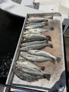 Fishing in Bradenton, Florida