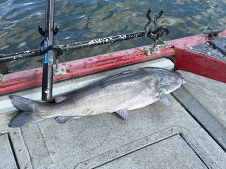 Fishing in Warsaw, Missouri