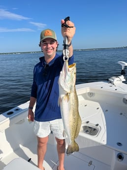 Speckled Trout fishing in