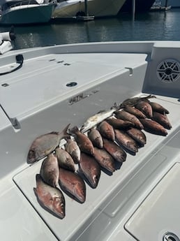 Fishing in St. Augustine, Florida