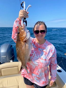 Mangrove Snapper Fishing in Niceville, Florida
