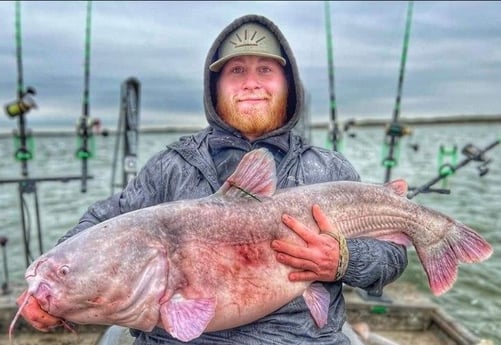 Blue Catfish Fishing in Dallas, Texas