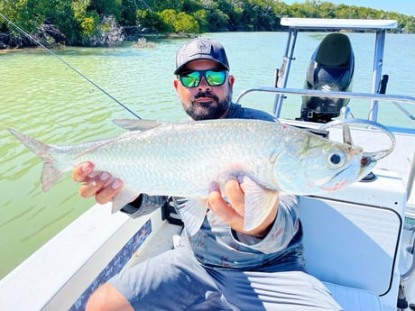 Tarpon Fishing in Tavernier, Florida