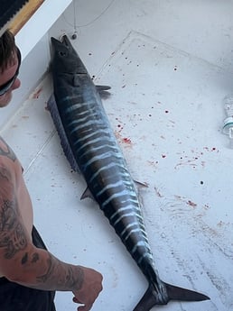 Wahoo Fishing in West Palm Beach, Florida