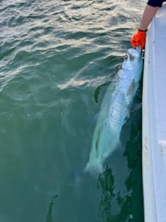 Fishing in Miami, Florida