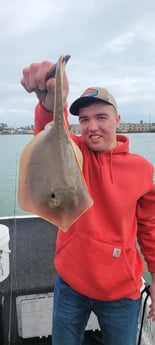 Stingray Fishing in Port Isabel, Texas