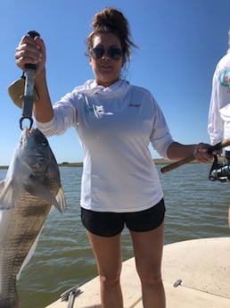 Black Drum Fishing in Matagorda, Texas