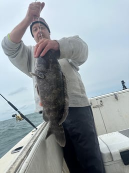 Fishing in Westport, Massachusetts