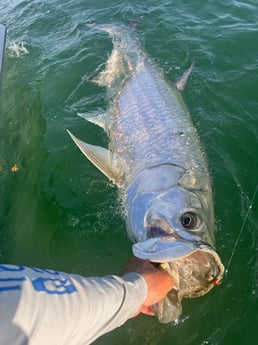 Fishing in Big Pine Key, Florida