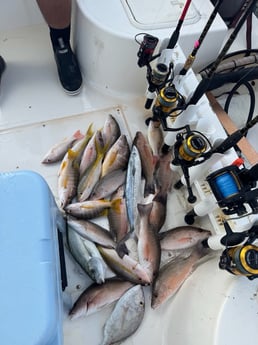 Fishing in Key Largo, Florida