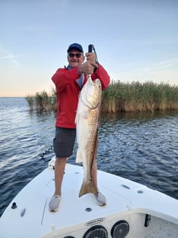 Fishing in Lafitte, Louisiana