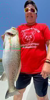 Speckled Trout / Spotted Seatrout fishing in Galveston, Texas