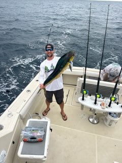 Mahi Mahi Fishing in Pompano Beach, Florida