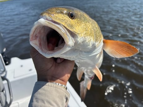 Fishing in Slidell, Louisiana