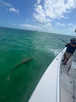 Fishing in Key West, Florida