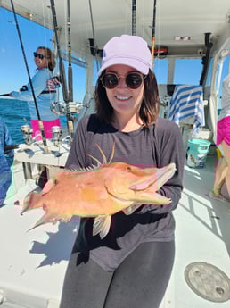 Hog Fishing in Indian Rocks Beach, Florida