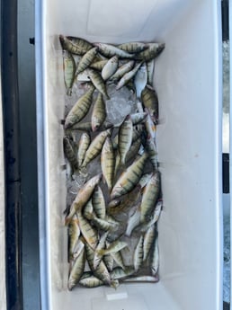 Fishing in Indianapolis, Indiana