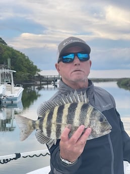 Sheepshead Fishing in Johns Island, South Carolina