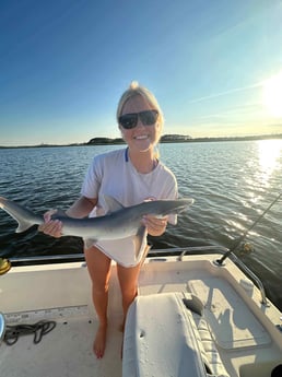 Blacktip Shark Fishing in Mount Pleasant, South Carolina