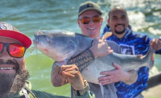 Blue Catfish Fishing in Dallas, Texas