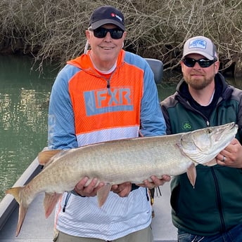 Muskie fishing in Knoxville, Tennessee