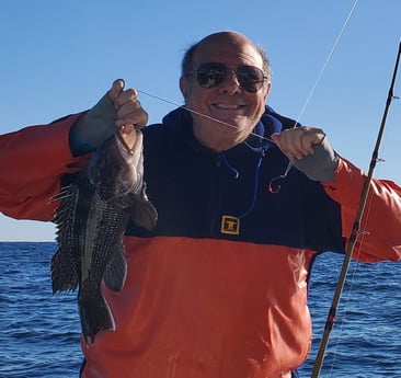 Black Seabass Fishing in Mount Pleasant, South Carolina