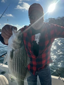 Fishing in Denver, North Carolina