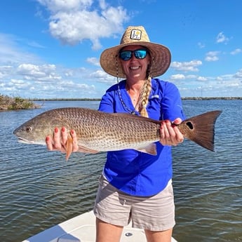 Redfish Fishing in Cape Coral, Florida