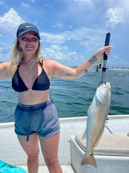 Fishing in Orange Beach, Alabama