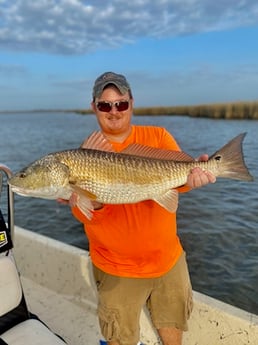 Redfish fishing in Saint Bernard, Louisiana