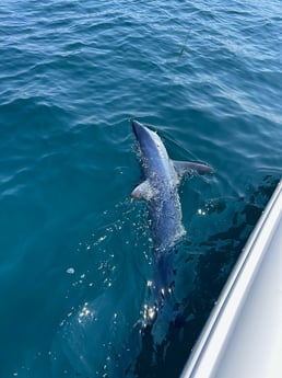 Fishing in Barnegat Light, New Jersey