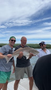 Redfish Fishing in New Orleans, Louisiana