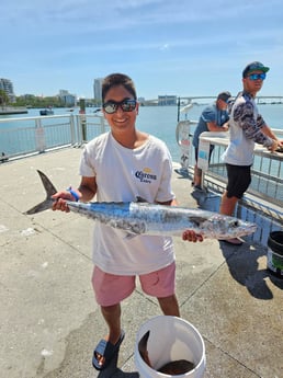 Kingfish Fishing in
