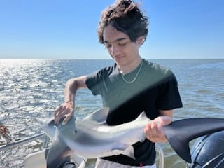 Thresher Shark Fishing in New Orleans, Louisiana