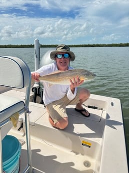 Redfish Fishing in Naples, Florida