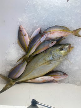 Fishing in Key West, Florida